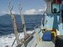 Tuncurry-PhilRoach 051